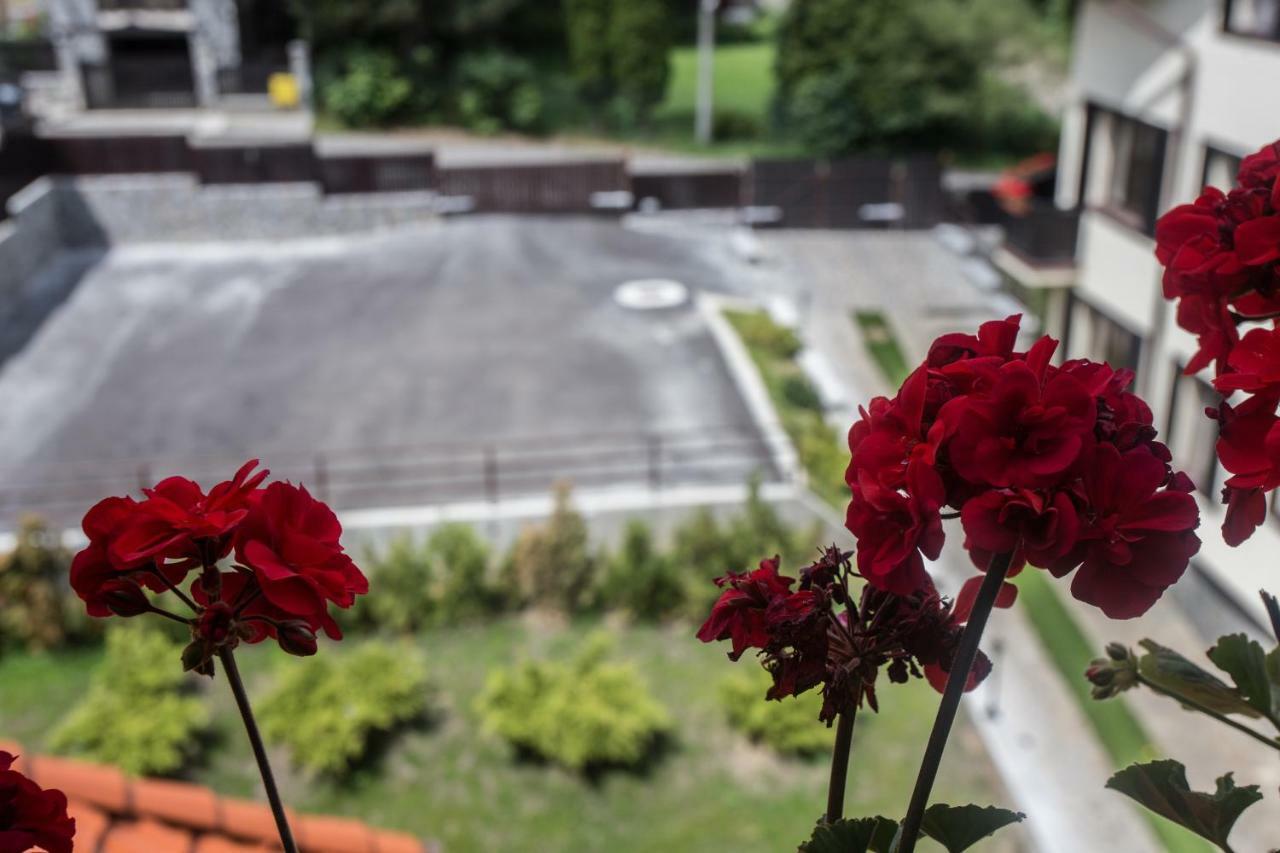Pensiunea Carmen'S Mansion B Sinaia Eksteriør bilde