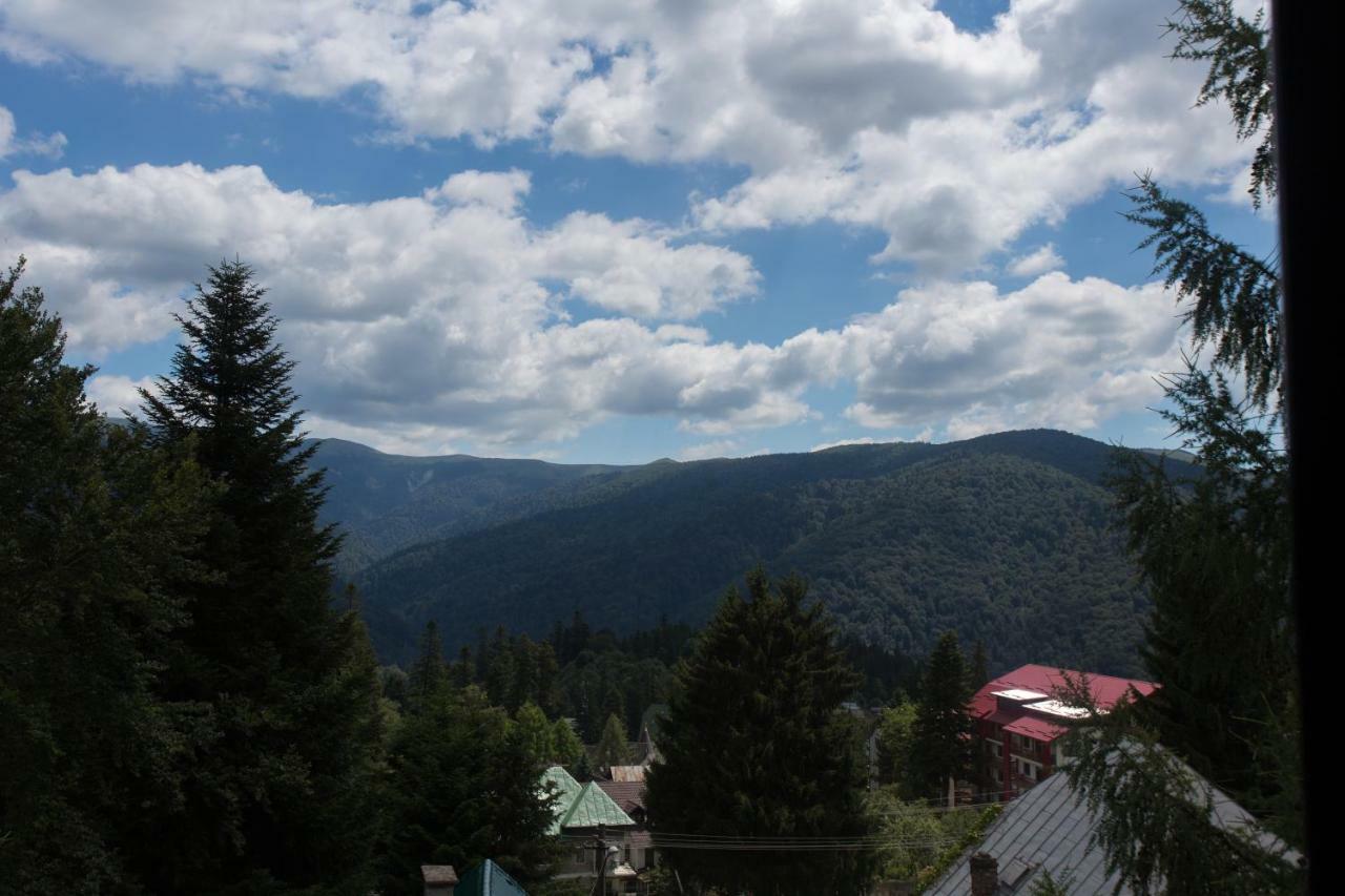 Pensiunea Carmen'S Mansion B Sinaia Eksteriør bilde