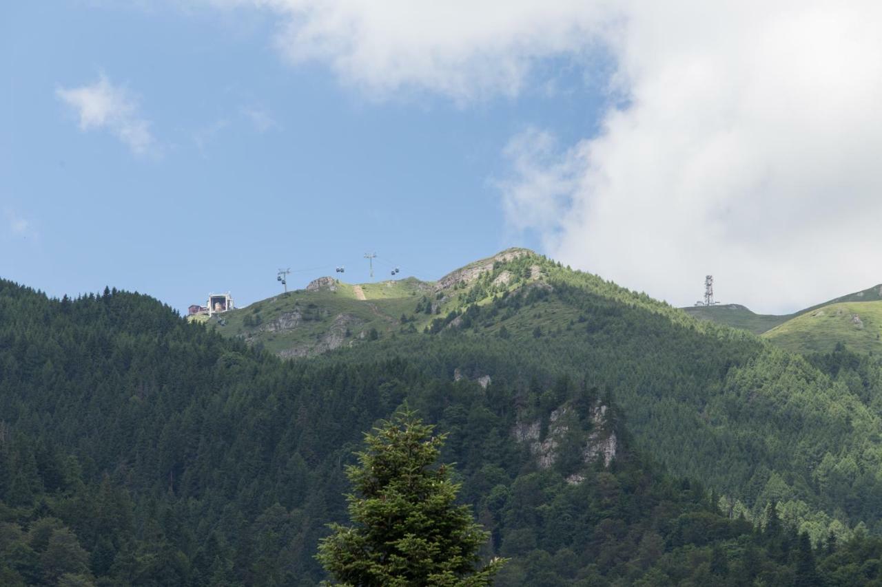 Pensiunea Carmen'S Mansion B Sinaia Eksteriør bilde